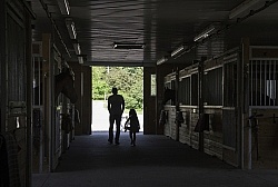 Barn interior