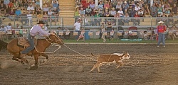 Roping