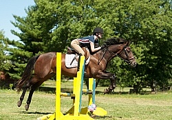 Good Position over Fence