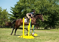 Good Position over Fence