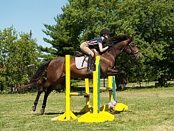 Good Position over Fence