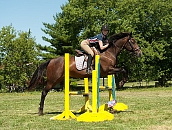 Good Position over Fence