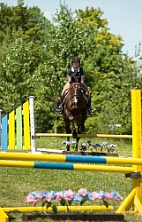 Good Position over Fence