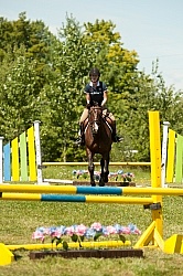 Good Position over Fence