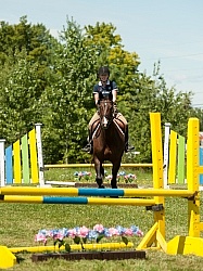 Good Position over Fence