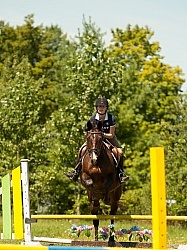 Good Position over Fence