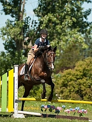 Good Position over Fence