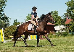 Good Position Between Fences