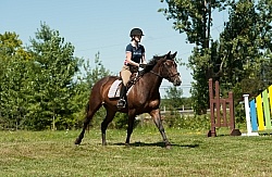 Good Position Between Fences