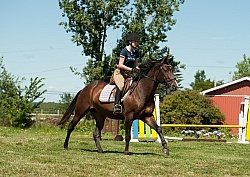 Good Position Between Fences