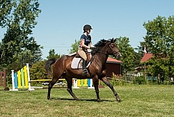 Good Position Between Fences