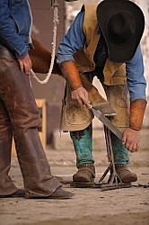 Farrier Rasping Foot