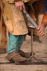 Farrier Trimming Foot