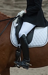 Dressage Apparel
