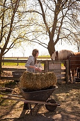 Feeding Hay