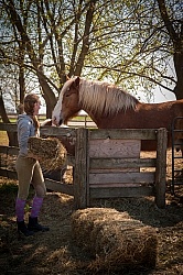 Feeding Hay