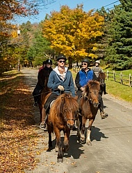 Vermont Icelandic Horse Farm Fall Colours Ride