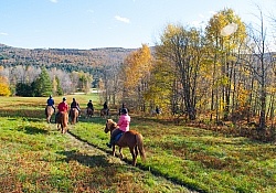 Vermont Icelandic Horse Farm Fall Colours Ride