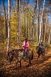 Vermont Icelandic Horse Farm Fall Colours Ride