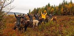 Vermont Icelandic Horse Farm Fall Colours Ride