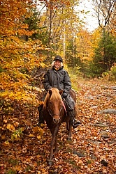 Vermont Icelandic Horse Farm Fall Colours Ride