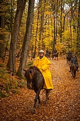 Vermont Icelandic Horse Farm Fall Colours Ride