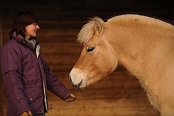 Norwegian Fjord With Owner