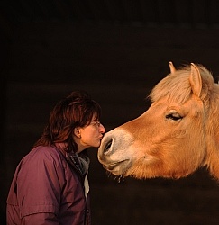 Norwegian Fjord With Owner