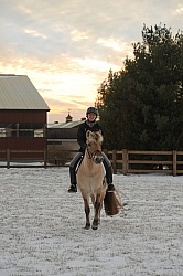 Norwegian Fjord Under Saddle