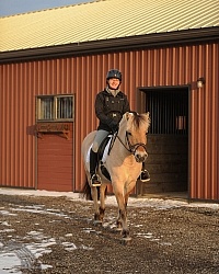 Norwegian Fjord Under Saddle