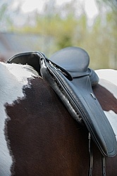 Saddle Fitting