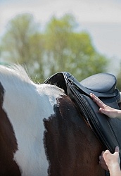 Saddle Fitting