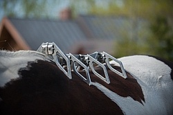 Custom Saddle Fitting