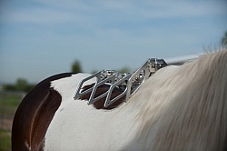 Custom Saddle Fitting