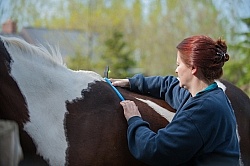 Custom Saddle Fitting
