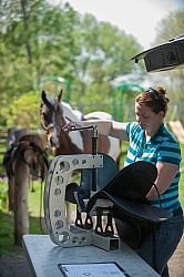 Custom Saddle Fitting