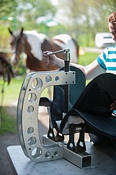 Custom Saddle Fitting