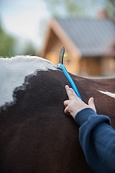 Custom Saddle Fitting