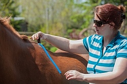 Custom Saddle Fitting