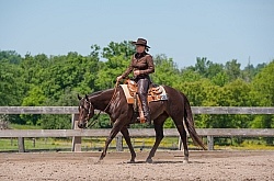 Quarter Horse Showing Western Pleasure