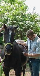 Vet Using Sethoscope