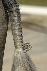 Braided Tail