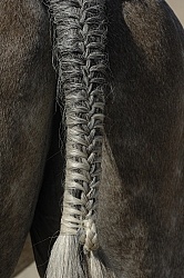 Braided Tail