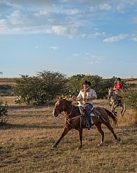 Galloping on the Trail