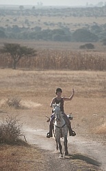 Galloping on the Trail