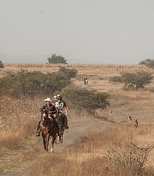 Galloping on the Trail