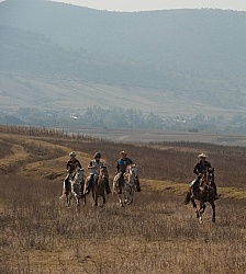 Galloping on the Trail