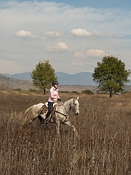 Galloping on the Trail