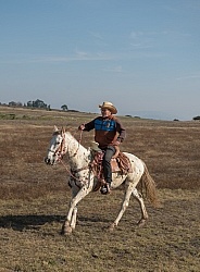 Galloping on the Trail