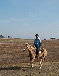 Galloping on the Trail